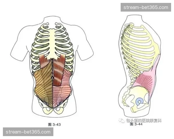 里夫斯赛前进行低强度训练，腹斜肌拉伤恢复进入最后阶段